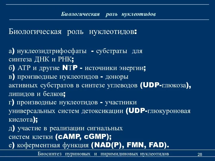 Биологическая роль нуклеотидов Биосинтез пуриновых и пиримидиновых нуклеотидов Биологическая роль нуклеотидов: