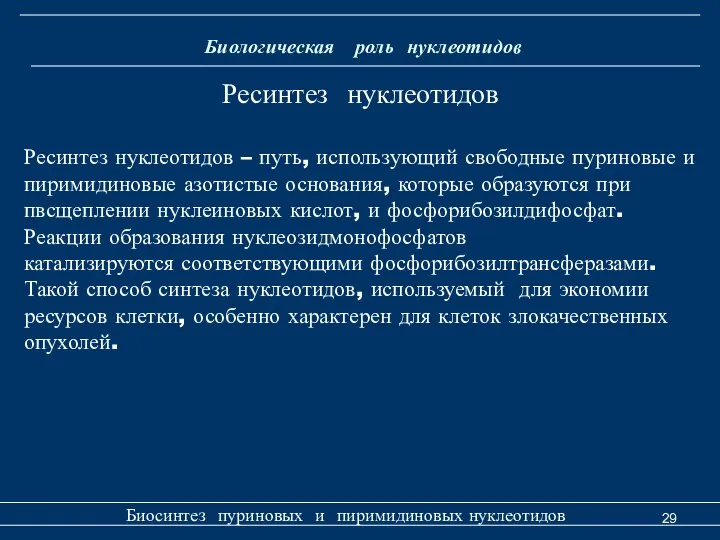 Биологическая роль нуклеотидов Биосинтез пуриновых и пиримидиновых нуклеотидов Ресинтез нуклеотидов Ресинтез