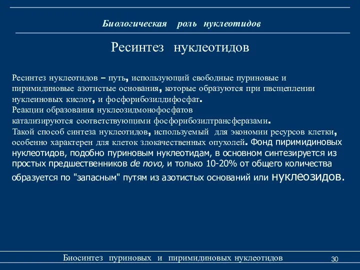 Биологическая роль нуклеотидов Биосинтез пуриновых и пиримидиновых нуклеотидов Ресинтез нуклеотидов Ресинтез