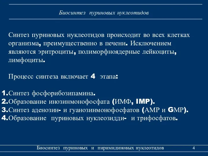 Биосинтез пуриновых и пиримидиновых нуклеотидов Биосинтез пуриновых нуклеотидов Синтез пуриновых нуклеотидов