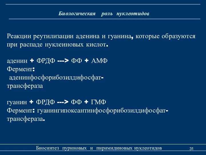 Биологическая роль нуклеотидов Биосинтез пуриновых и пиримидиновых нуклеотидов Реакции реутилизации аденина