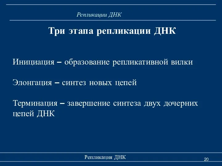 Репликация ДНК Репликации ДНК Три этапа репликации ДНК Инициация – образование