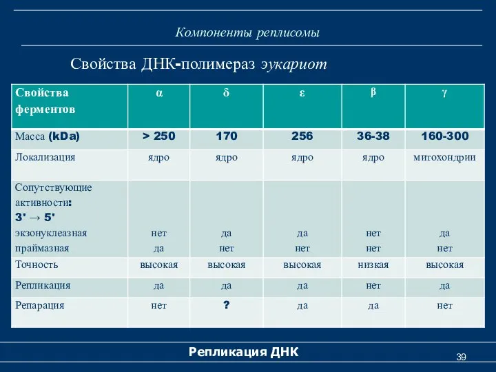 Компоненты реплисомы Репликация ДНК Свойства ДНК-полимераз эукариот