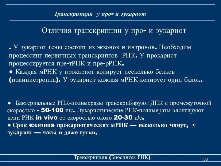 Транскрипция (Биосинтез РНК) Транскрипция у про- и эукариот Отличия транскрипции у