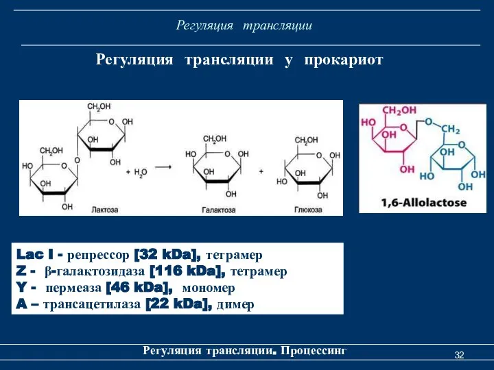 Регуляция трансляции Регуляция трансляции. Процессинг Регуляция трансляции у прокариот Lac I