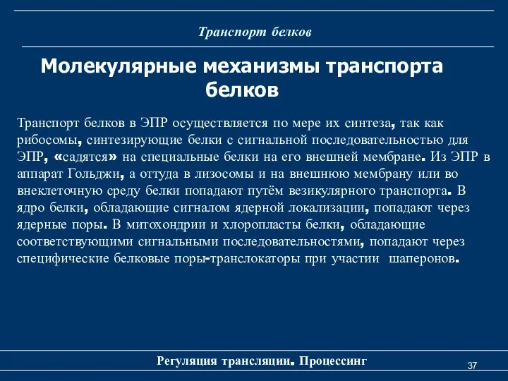 Транспорт белков Регуляция трансляции. Процессинг Молекулярные механизмы транспорта белков Транспорт белков