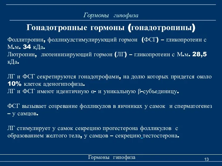 Гормоны гипофиза Гормоны гипофиза Гонадотропные гормоны (гонадотропины) Фоллитропин, фолликулстимулирующий гормон (ФСГ)