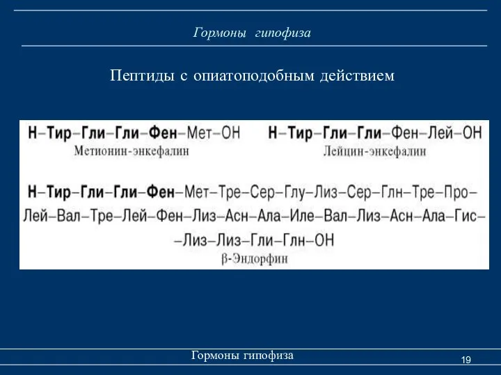 Гормоны гипофиза Гормоны гипофиза Пептиды с опиатоподобным действием