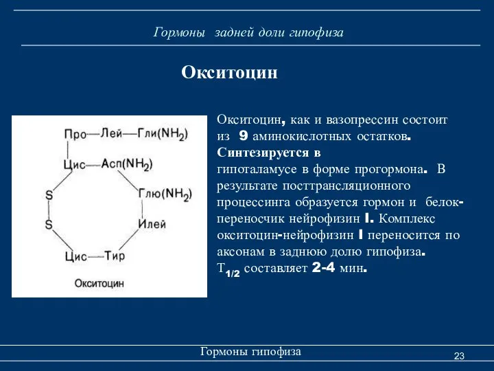 Гормоны задней доли гипофиза Гормоны гипофиза Окситоцин Окситоцин, как и вазопрессин