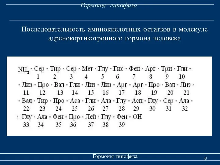 Гормоны гипофиза Гормоны гипофиза Последовательность аминокислотных остатков в молекуле адренокортикотропного гормона человека