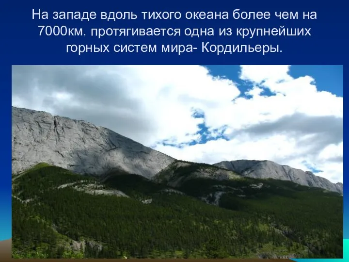 На западе вдоль тихого океана более чем на 7000км. протягивается одна