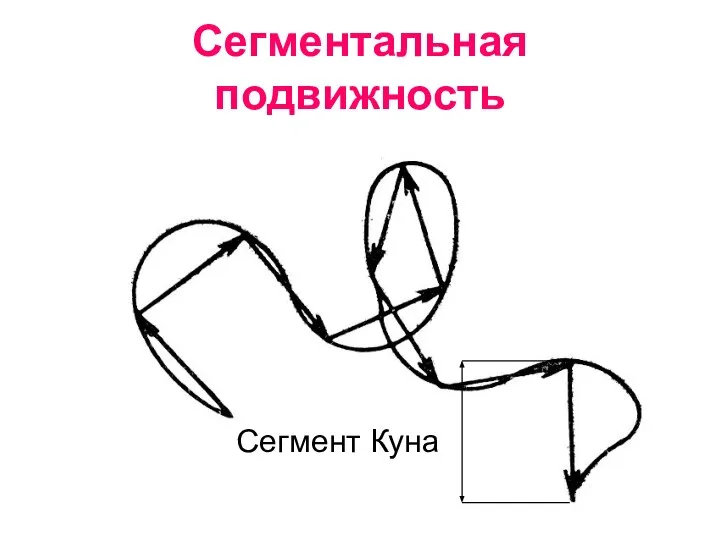 Сегментальная подвижность