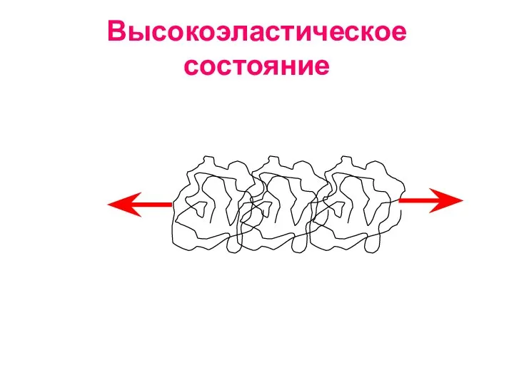 Высокоэластическое состояние