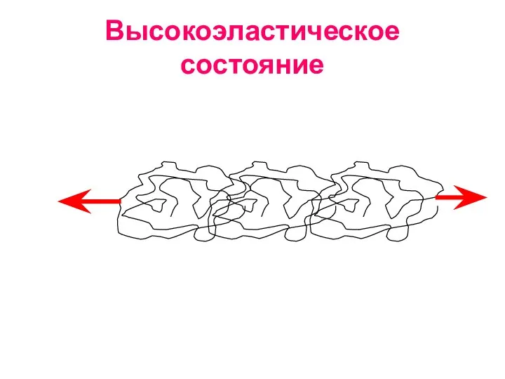 Высокоэластическое состояние