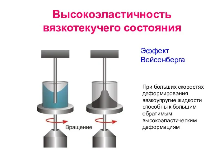 Высокоэластичность вязкотекучего состояния Эффект Вейсенберга При больших скоростях деформирования вязкоупругие жидкости