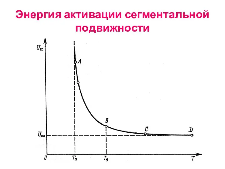 Энергия активации сегментальной подвижности