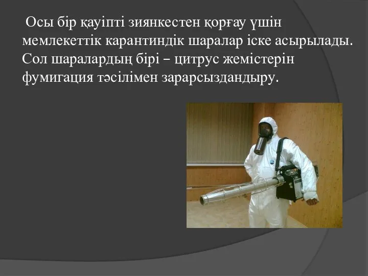 Осы бір қауіпті зиянкестен қорғау үшін мемлекеттік карантиндік шаралар іске асырылады.