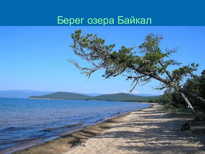 Берег озера Байкал