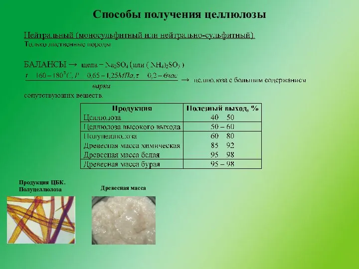 Способы получения целлюлозы Продукция ЦБК. Полуцеллюлоза Древесная масса