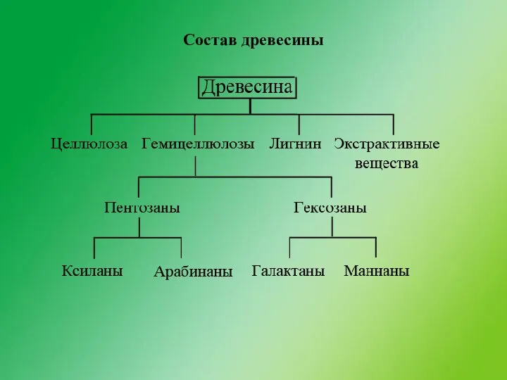 Состав древесины