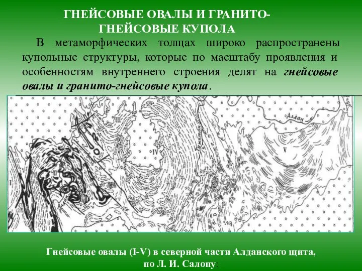 ГНЕЙСОВЫЕ ОВАЛЫ И ГРАНИТО-ГНЕЙСОВЫЕ КУПОЛА В метаморфических толщах широко распространены купольные