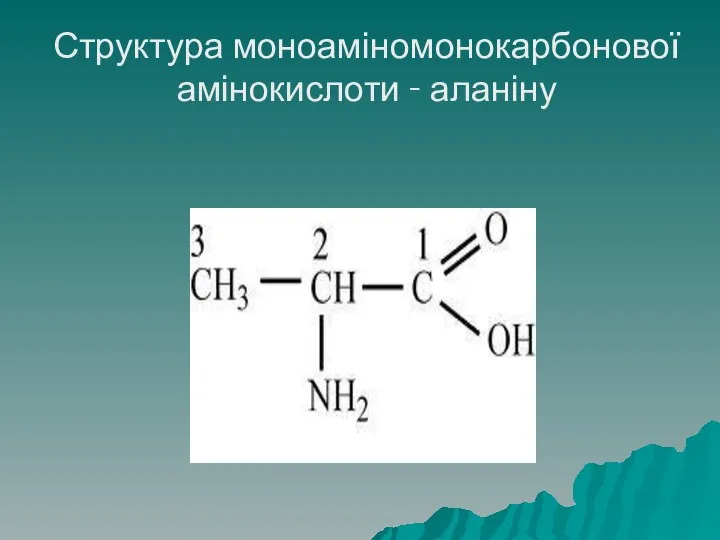 Структура моноаміномонокарбонової амінокислоти - аланіну