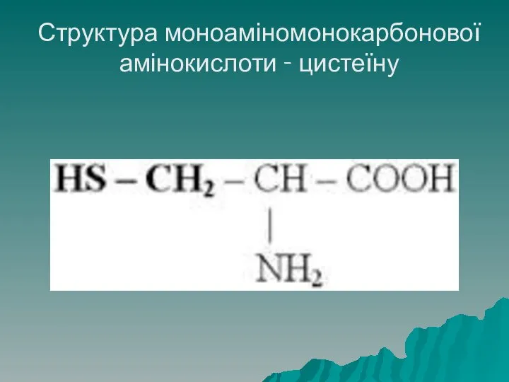 Структура моноаміномонокарбонової амінокислоти - цистеїну