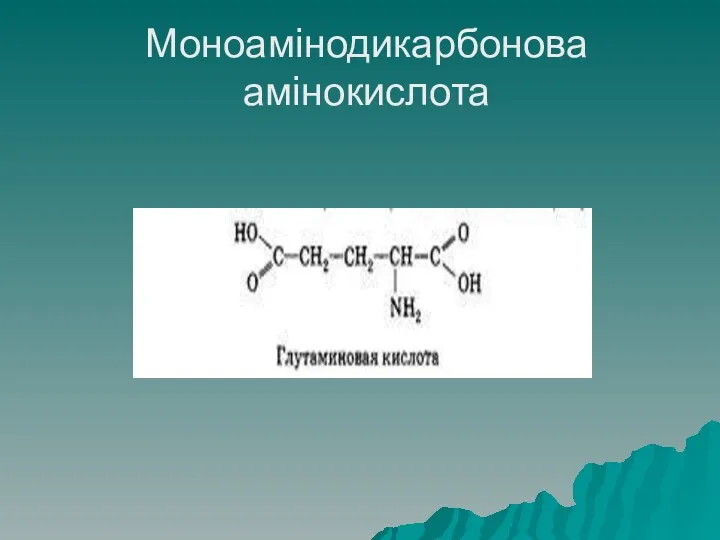 Моноамінодикарбонова амінокислота