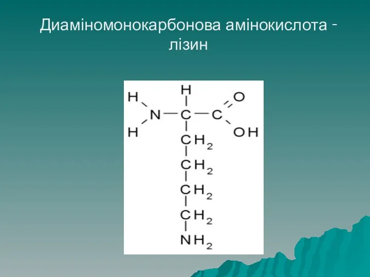 Диаміномонокарбонова амінокислота - лізин