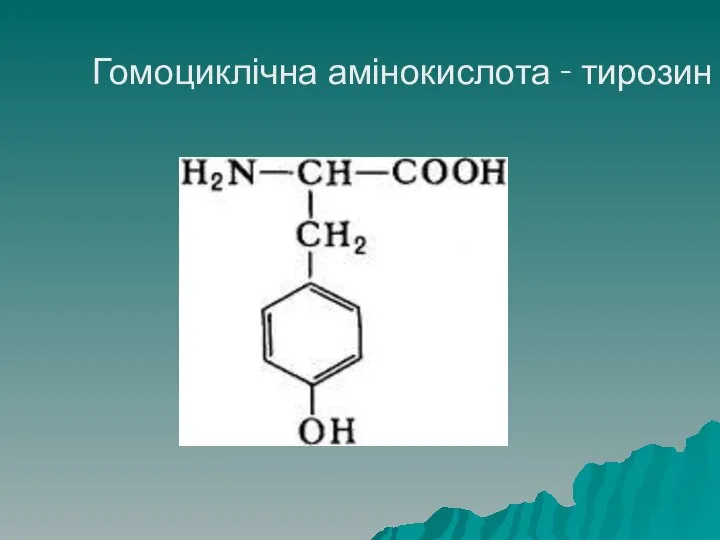 Гомоциклічна амінокислота - тирозин