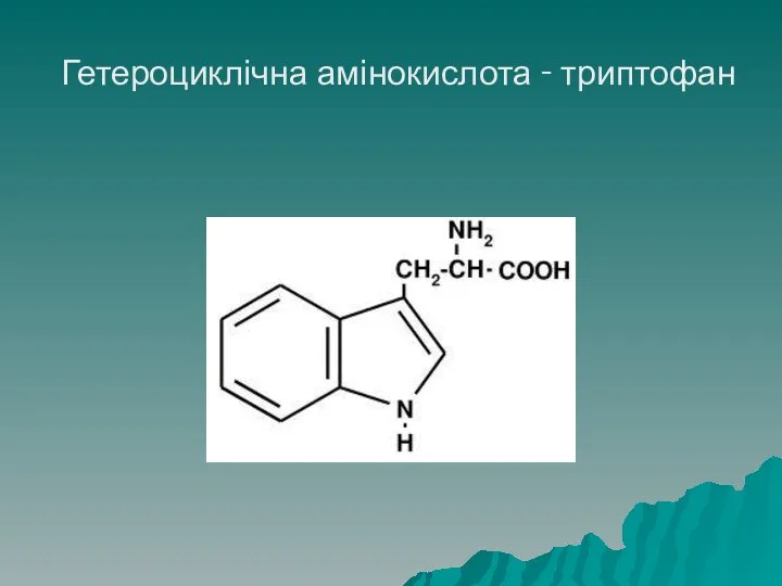 Гетероциклічна амінокислота - триптофан