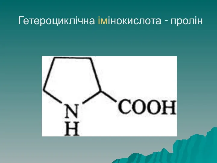 Гетероциклічна імінокислота - пролін