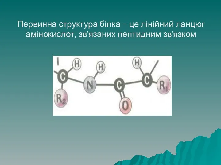 Первинна структура білка – це лінійний ланцюг амінокислот, зв'язаних пептидним зв'язком