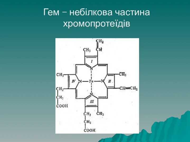 Гем – небілкова частина хромопротеїдів