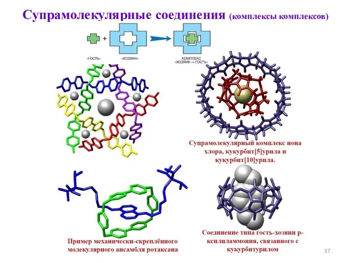 Супрамолекулярные соединения (комплексы комплексов)