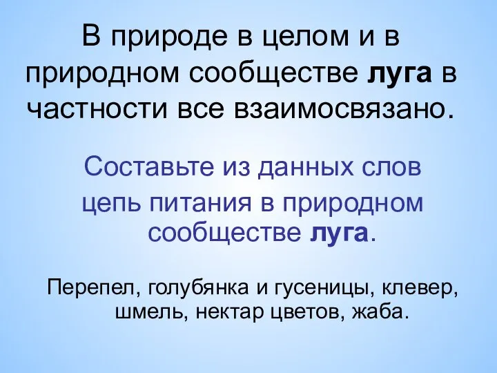 В природе в целом и в природном сообществе луга в частности