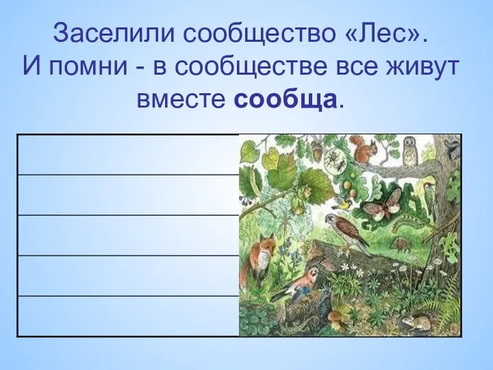 Заселили сообщество «Лес». И помни - в сообществе все живут вместе сообща.