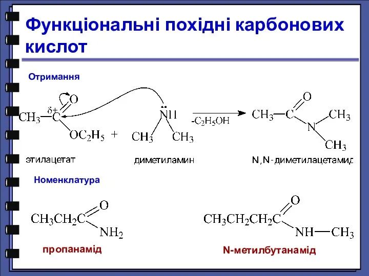 N-метилбутанамід пропанамід Функціональні похідні карбонових кислот Отримання Номенклатура