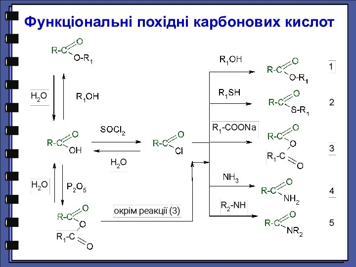 Функціональні похідні карбонових кислот