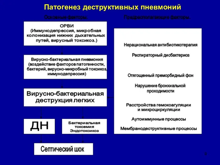 Патогенез деструктивных пневмоний