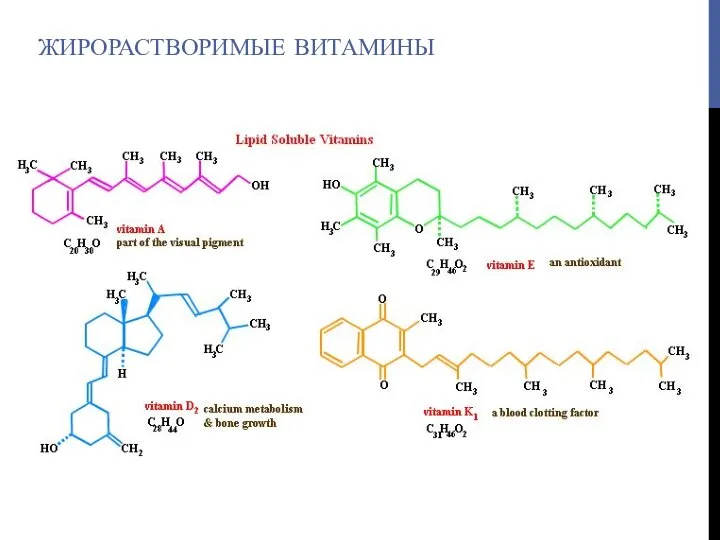 ЖИРОРАСТВОРИМЫЕ ВИТАМИНЫ