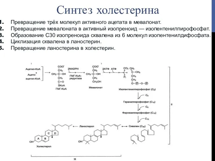 Превращение трёх молекул активного ацетата в мевалонат. Превращение мевалоната в активный