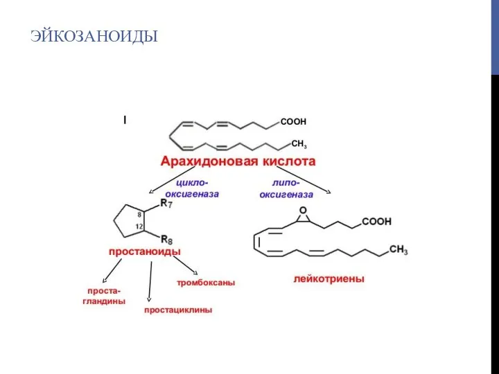 ЭЙКОЗАНОИДЫ
