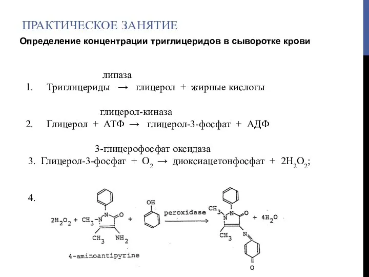 ПРАКТИЧЕСКОЕ ЗАНЯТИЕ липаза Триглицериды → глицерол + жирные кислоты глицерол-киназа Глицерол