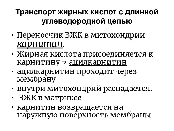 Транспорт жирных кислот с длинной углеводородной цепью Переносчик ВЖК в митохондрии