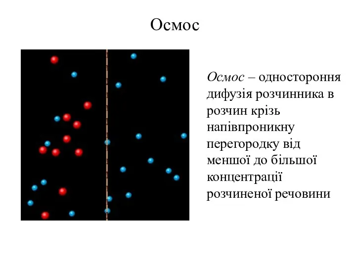 Осмос Осмос – одностороння дифузія розчинника в розчин крізь напівпроникну перегородку
