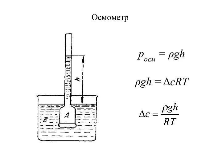 Осмометр ρgh = ΔcRT росм = ρgh