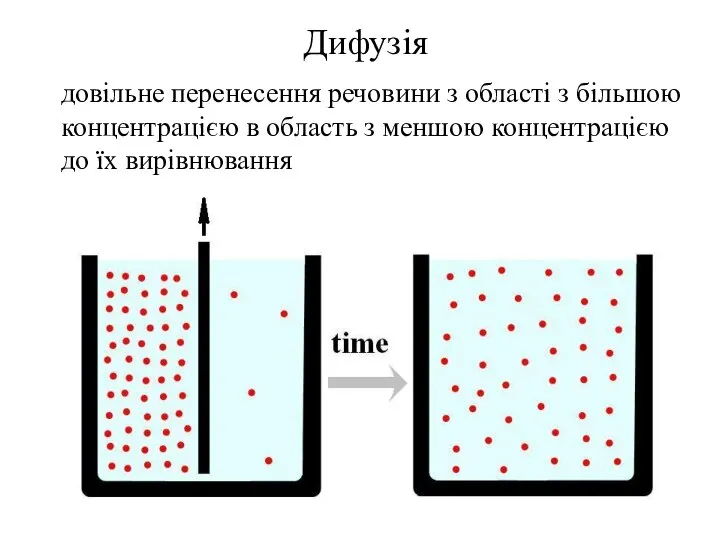 Дифузія довільне перенесення речовини з області з більшою концентрацією в область