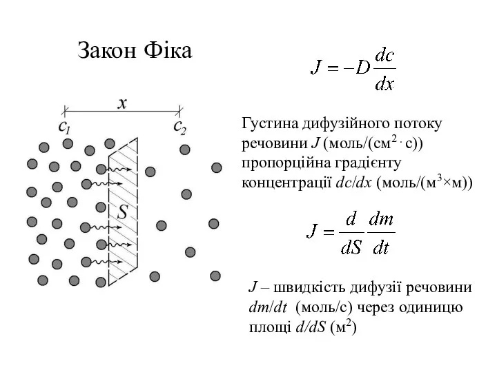 Закон Фіка J – швидкість дифузії речовини dm/dt (моль/с) через одиницю