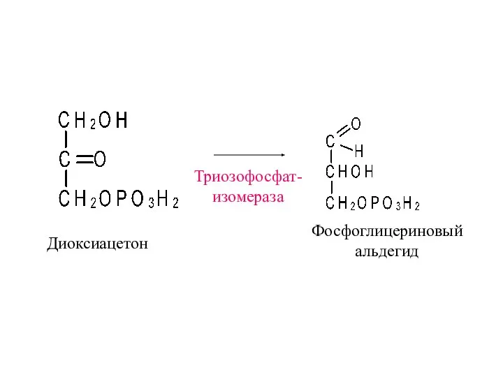 Диоксиацетон Триозофосфат- изомераза Фосфоглицериновый альдегид